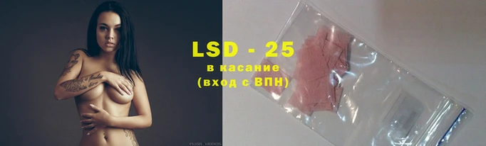 эйфоретик Бородино