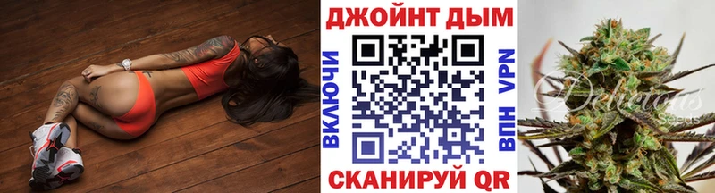 Канабис сатива  Купить где  Ртищево 